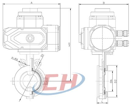 電動襯F46對夾蝶閥結構圖