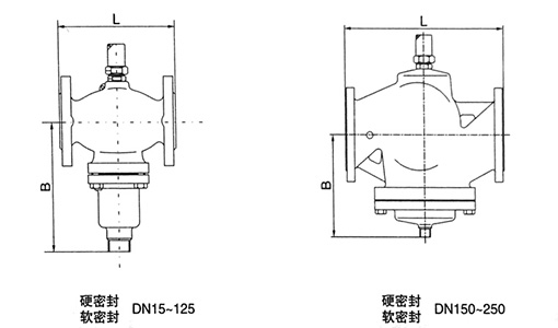 自力式流量調(diào)節(jié)閥結構圖